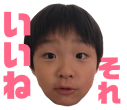 410331508