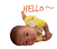 410339238