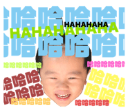410343786