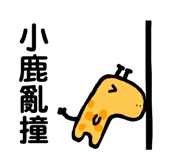 410502032