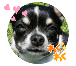 410558652