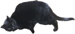 410572712