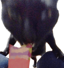 410572726