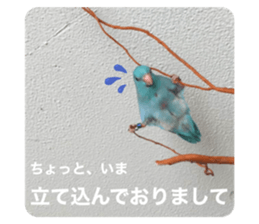 410633081