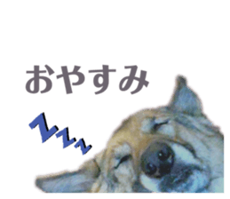 410653985