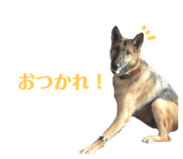 410653992