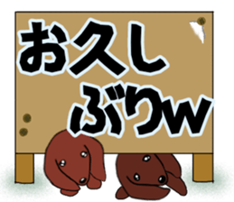 410687290