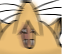 410756253