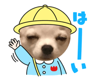 410767212