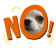 410767213