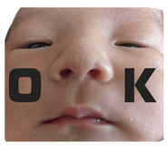 410786894