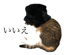 410804216