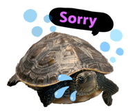 410889260