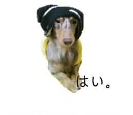410920214