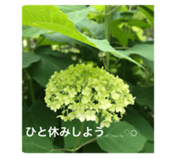 410931139