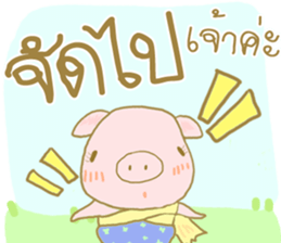 41097841
