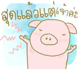 41097845
