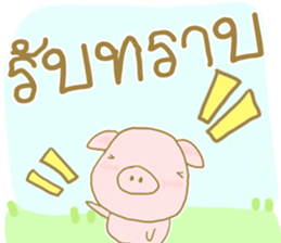 41097851