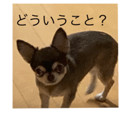 410987527