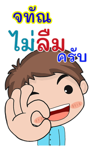 411032951