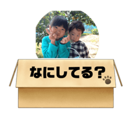 411075423