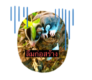 411084855
