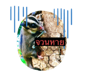 411084859
