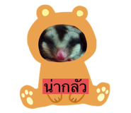 411084876