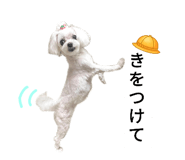 411132340