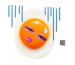 411206031