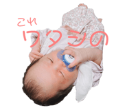 411219816