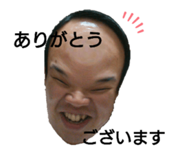 411413052