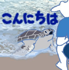 411531733