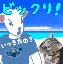 411531750