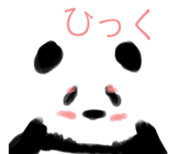 4116162