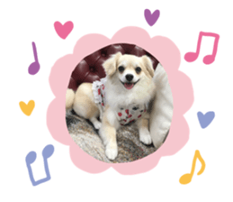 411698300