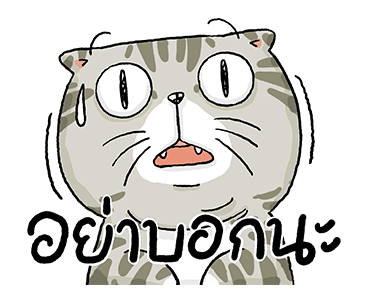 ลายที่ 3