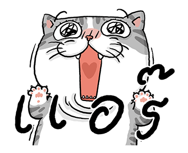 ลายที่ 11