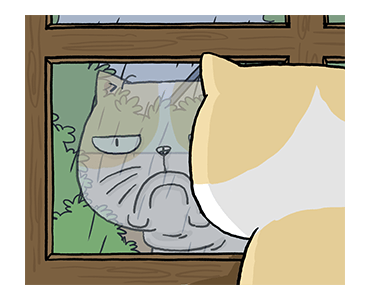 ลายที่ 13