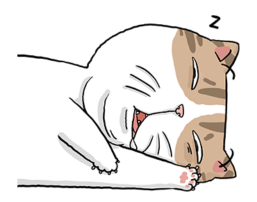 ลายที่ 21