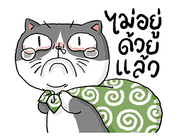 ลายที่ 23