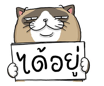 ลายที่ 29