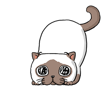 ลายที่ 31