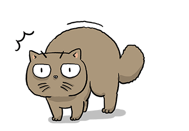 ลายที่ 41