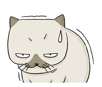 ลายที่ 43