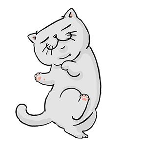 ลายที่ 47