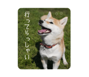 411725208