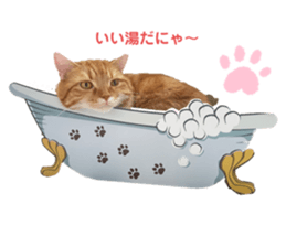 411856566