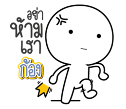 41195657