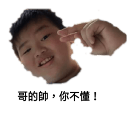 412016095